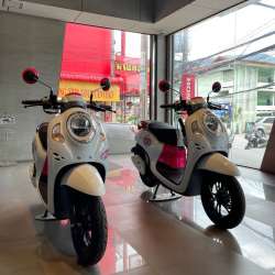 Honda Scoopy 110 см3 2023 года в аренду фото 4