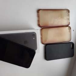 Apple 7