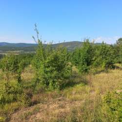 Участок коммерческого назначения 1 га в Севастополе фото 6