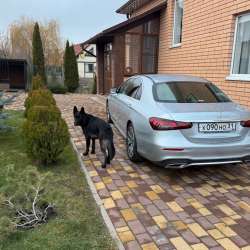 Продажа авто в Москве фото 13