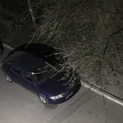 Renault Laguna 2 фото 14