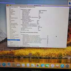 MacBook Pro 15 2010 в Петропавловск-Камчатском
