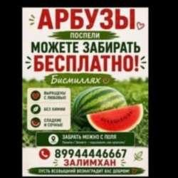 арбузы вкусные свежие
