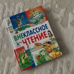 Яркая книга для внеклассного чтения?