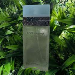 Dolce&Gabbana Light Blue 100 ml