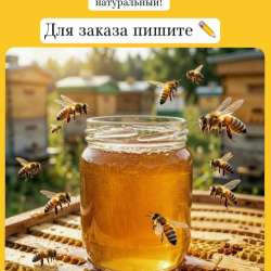 Мед натуральный в Ижевске