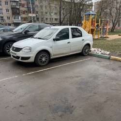 Живой логан в Нижнем Новгороде фото 3