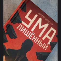 Умалишенный. Антиутопия. Книга в Москве фото 17