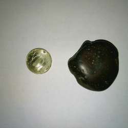 Meteorite Achondrite D1