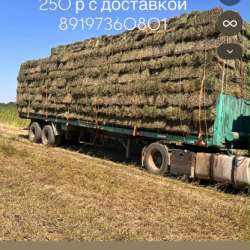 Перевозки в Ставрополе