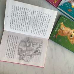 Книжки для малышей в Сургуте