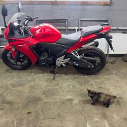 Honda cbr 400r в Видном фото 6