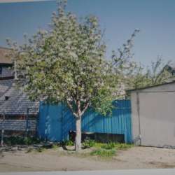 Продажа дома 60 м² с участком в Волгограде