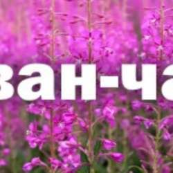Веники банные травы Иван чай