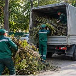Вывоз мусора в Ставрополе фото 6