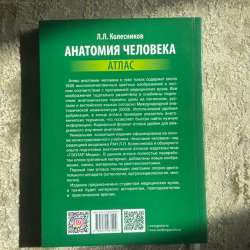 Атлас. Анатомия человека. Том 1 в Москве фото 5