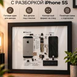 картина разобранного айфона 5с