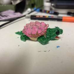 Mini turtle ? в Тюмени