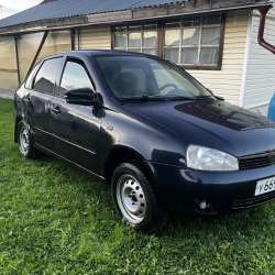 Продам калину 1 в Великом Устюге фото 4