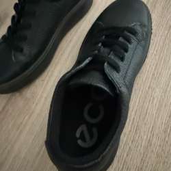 Eco