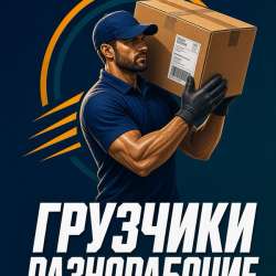 Грузчики разнорабочие вывоз мусора.