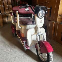 Трицикл электро Дави 1500