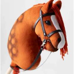 HOBBYHORSE
