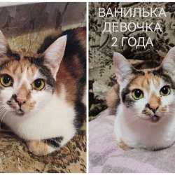 ПОЖАЛУЙСТА, НЕ ПРОХОДИТЕ МИМО!!! фото 3