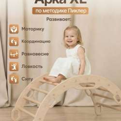 Арка пиклер в Волгодонске фото 4