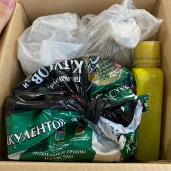 Набор для кактусов