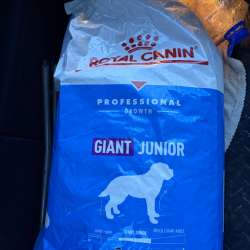 Royal Canin Jiant junior