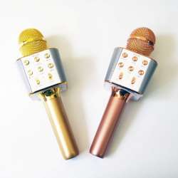 Микрофон Wster WS-1688 USB, microSD, AUX, Bluetooth, REC