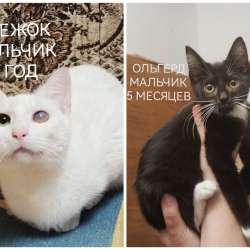 ПОЖАЛУЙСТА, НЕ ПРОХОДИТЕ МИМО!!! фото 4