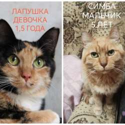 ПОЖАЛУЙСТА, НЕ ПРОХОДИТЕ МИМО!!! фото 10
