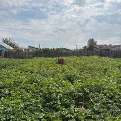Продам дом в Канске фото 4