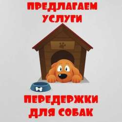 Передержка маленьких пород собачек