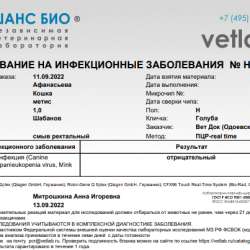 Сос! Кошечку выкинули на улицу в Москве фото 32