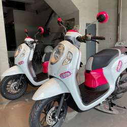 Honda Scoopy 110 см3 2023 года в аренду