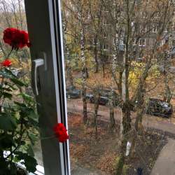 Сдам квартиру в Иванове фото 3
