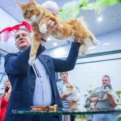 Приглашение на вязку фото 4