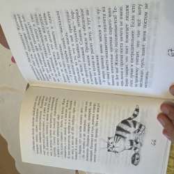 Книжка БЛОГ Кото- сапиенса в Новосибирске