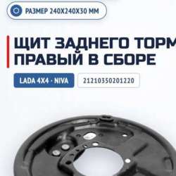Щит заднего тормоза в Пензе фото 5
