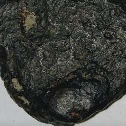 Метеорит железный Iron meteorite в Краснодаре фото 4