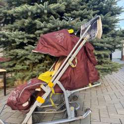 Санки-коляска детская