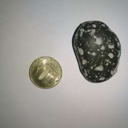Lunar Meteorite Anorthosite