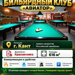 Продаётся бильярдный клуб «Авиатор»