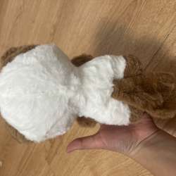 Игрушка котик в Москве