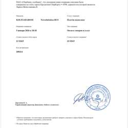 Зимняя шипованная резина