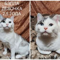 ПОЖАЛУЙСТА, НЕ ПРОХОДИТЕ МИМО!!! фото 7