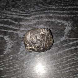 Martian Meteorite